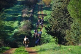 Clicca qui per vedere l'immagine in dettaglio